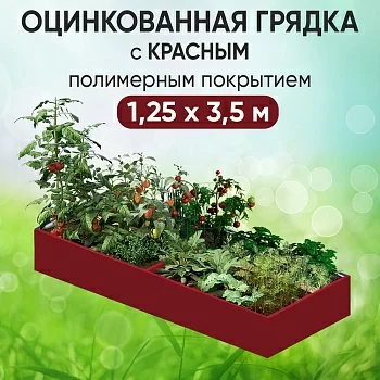 Грядка красная (1,25 х 3,5)